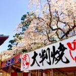 2018桜祭り開幕!東京のおすすめ屋台をバシッと紹介!