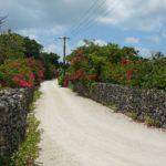 沖縄観光2018必見‼那覇以外のおすすめ紹介【石垣,中城,竹富島】