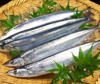 生さんまの保存方法を教えて 冷蔵保存の場合の下処理はやるべき 疑問スッキリ Com 生さんまの保存方法を教えて 冷蔵保存の場合の下処理はやるべき 疑問スッキリ Com